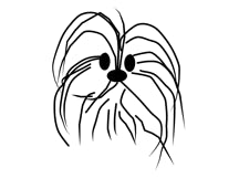 Georgette